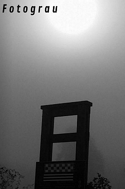Fotograu No.6