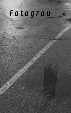 Fotograu No.7